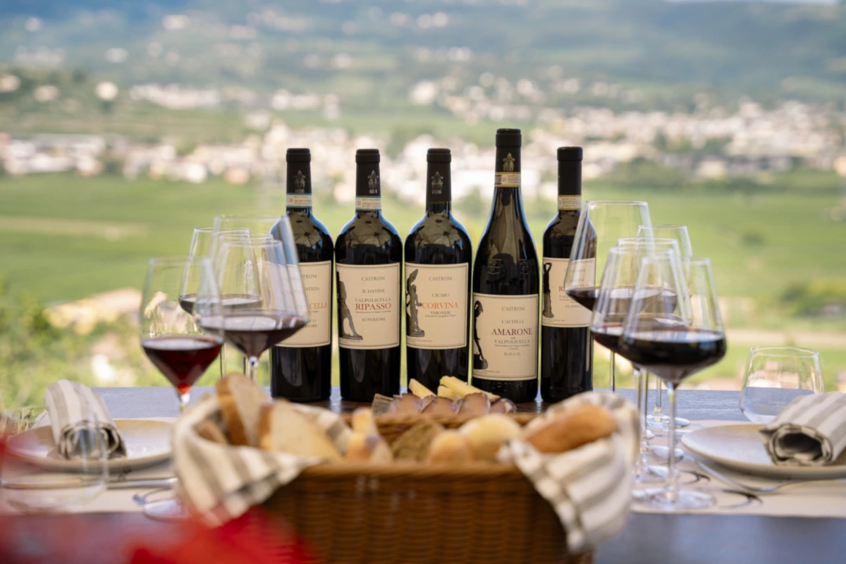 Degustazione vini